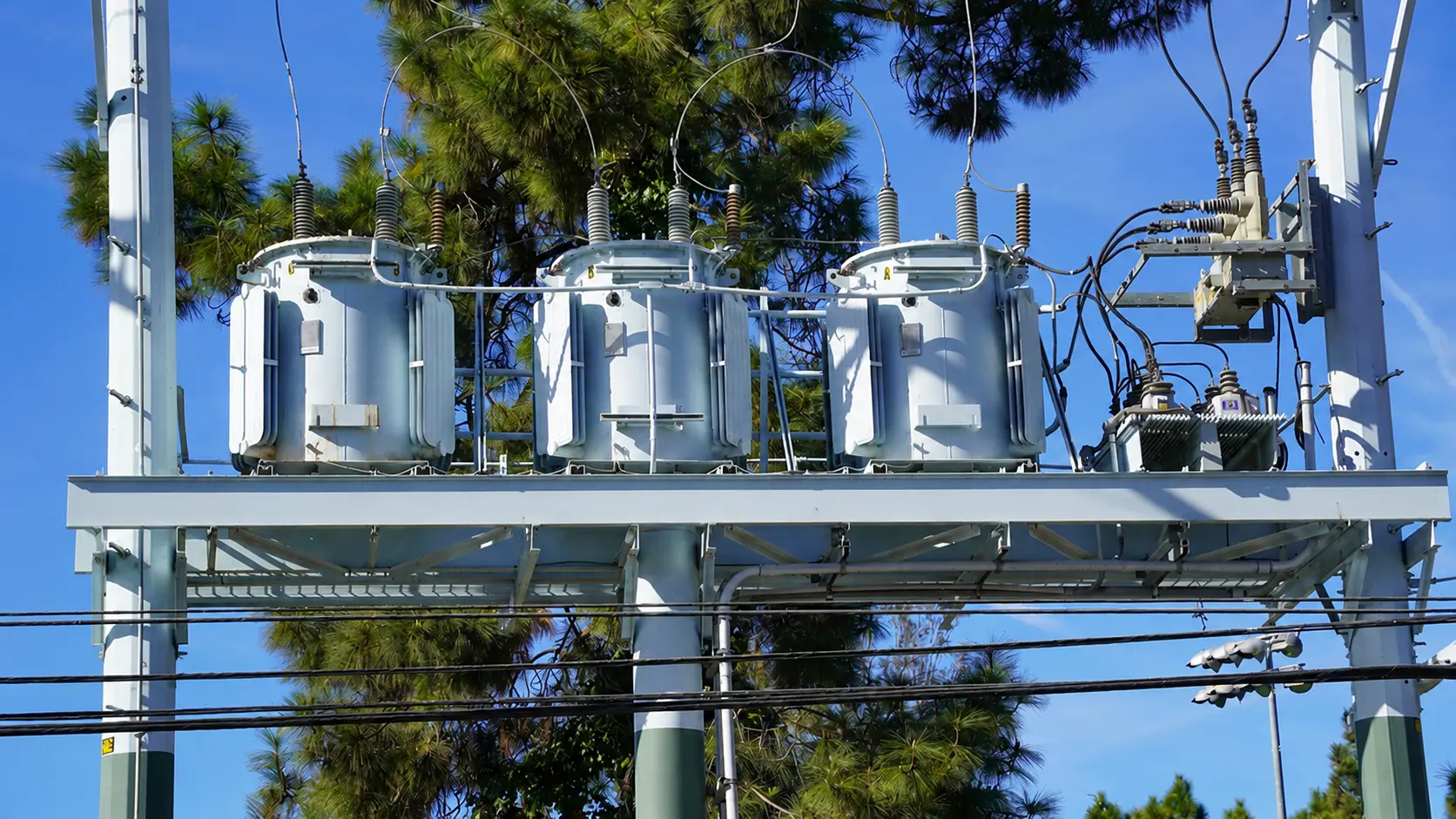 Power Distribution Networks